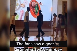 戈贝尔换特纳？大史：那不行！戈贝尔走了森林狼防线容易崩！！